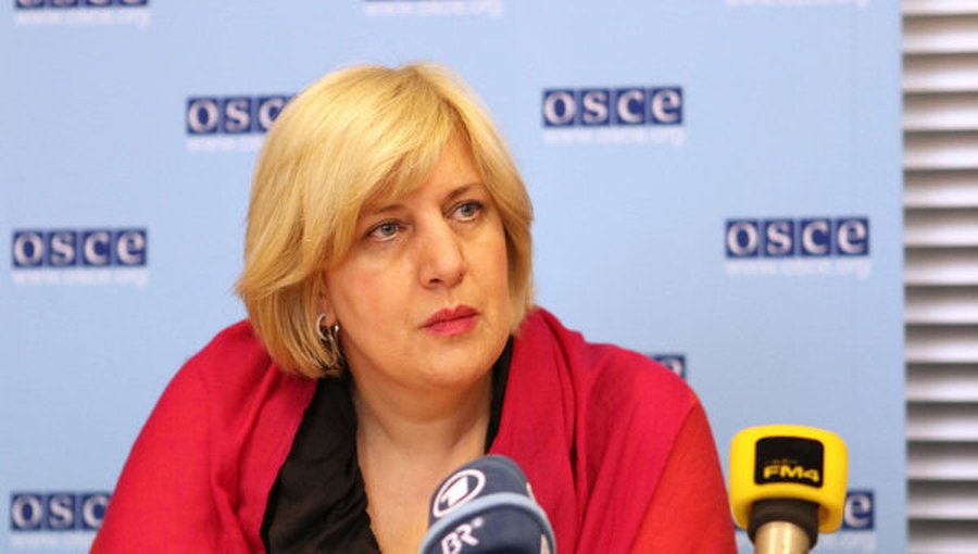 ОБСЕ: суду неприемлемо заставлять журналиста раскрывать свои источники - В Мире