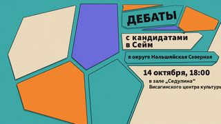 В Висагинасе пройдут дебаты кандидатов в Сейм от округа Нальшяйская Северная