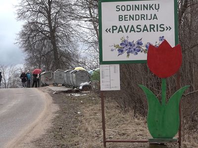 Председателем садового общества "Павасарис" вновь избран Алексей Прохоров - В Висагинасе
