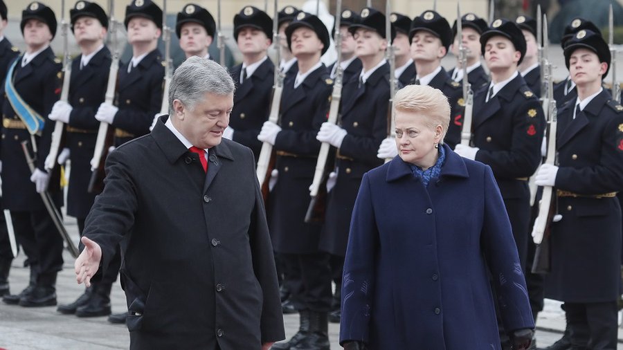 Д. Грибаускайте: поддержка Украины - в интересах безопасности Литвы - Литва и страны Балтии