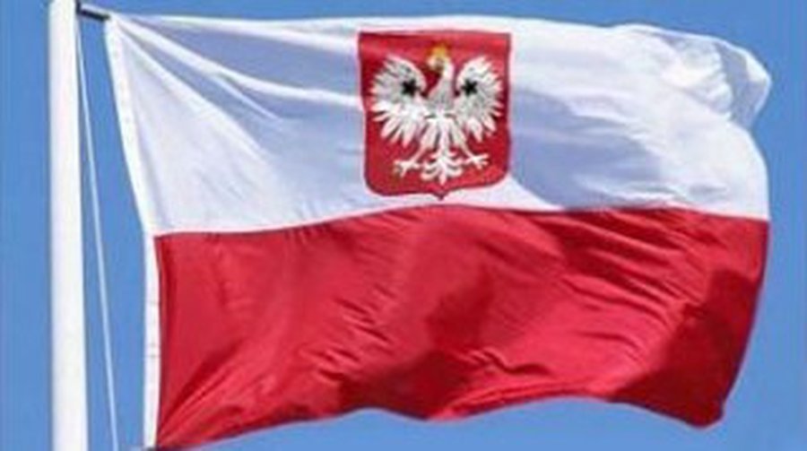 Польша, впечатленная «газовым кризисом», будет строить атомный реактор  - В Мире