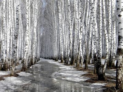 Погода: после приятных выходных снова вернется холод - Литва и страны Балтии