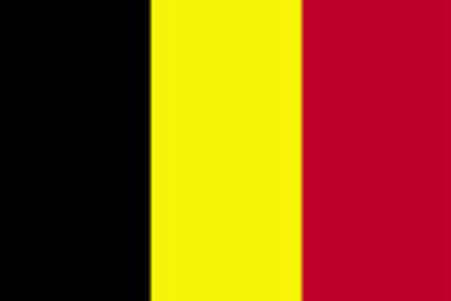 Praėjo 500 dienų, o Belgija vis dar neturi vyriausybės - Pasaulyje