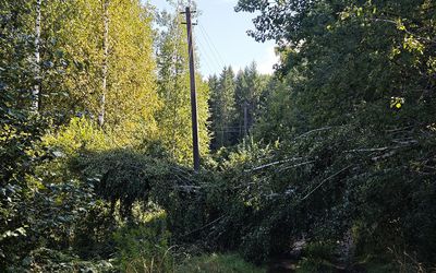 Часть улиц в садовых обществах до сих пор остается без электричества - В Висагинасе