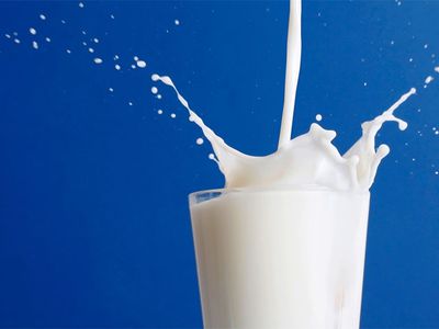 Россия открыла дороги для литовских продуктов - Литва и страны Балтии