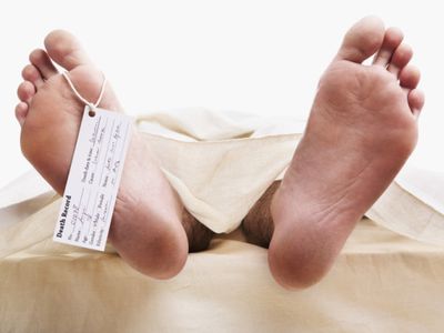 Мертвый швед пролежал в квартире полтора года - Происшествия и криминал