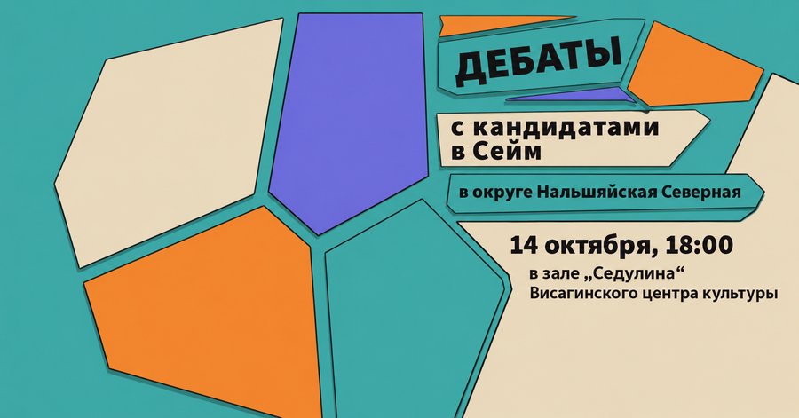 В Висагинасе пройдут дебаты кандидатов в Сейм от округа Нальшяйская Северная - Выборы в Сейм