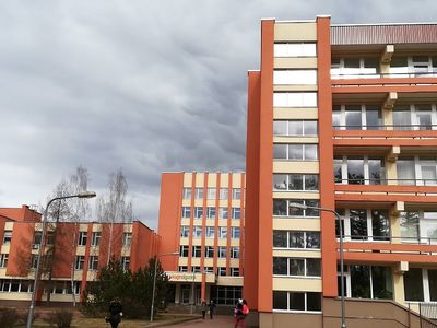 Висагинская больница приобретёт сыворотку от укуса гадюки - В Висагинасе