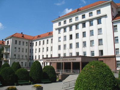 2023 m. šis restauracijos projektas buvo įvertintas prestižiniu Europos paveldo apdovanojimu „Europa Nostra“ kategorijoje „Konservavimas ir pritaikymas naujam naudojimui“   Restauracijos procesas Restauracija pradėta 2019 m. pabaigoje, atlikus išsamius tyrimus. Darbus vykdė 36 specialistų komanda iš įvairių šalių, laikydamasi minimalios intervencijos principo, siekiant išsaugoti lubų autentiškumą. Buvo sustiprintos medinės sijos, išvalytas paviršiaus polichromas ir paauksavimas, užpildyti spalvi - Projektas „Europos Pulsas“