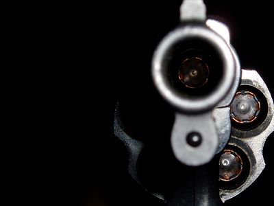 Жители Литвы и Чехии самые вооружённые в странах ЕС - Литва и страны Балтии
