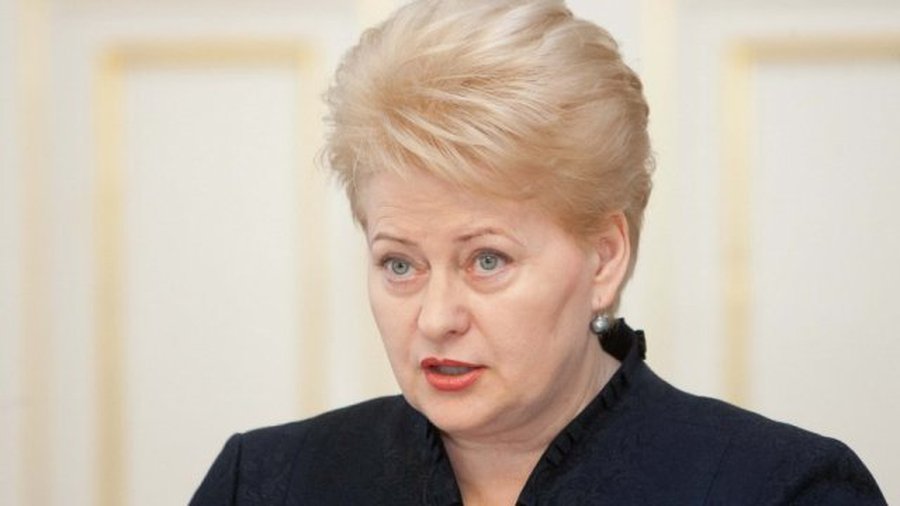 Президент Литвы: Саммит Восточного партнерства может стать началом нового этапа и новых возможностей - Литва и страны Балтии