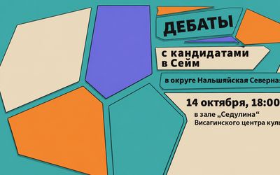 В Висагинасе пройдут дебаты кандидатов в Сейм от округа Нальшяйская Северная - Выборы в Сейм