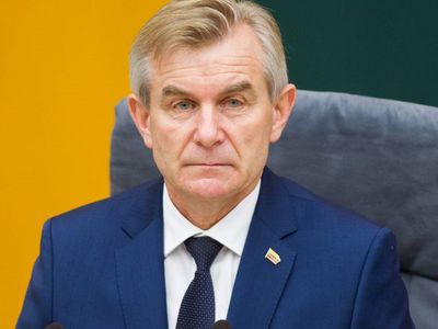 В. Пранцкетис: пропорциональная вырубка лесов позволит снизить цены на отопление - Энергетика