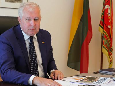 Правительство одобрило стратегию подготовки граждан к гражданскому сопротивлению - Литва и страны Балтии