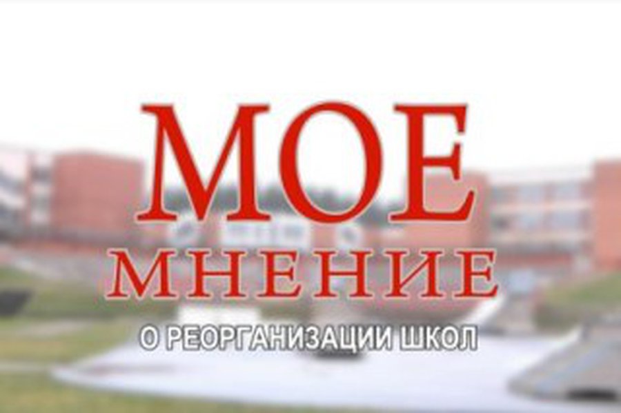 Светлана Бабуева: Мое мнение о школьной реформе                    - В Висагинасе