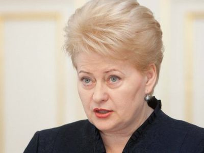 Президент Литвы отказалась звонить Путину, чтобы поговорить о «молочной войне» - Литва и страны Балтии