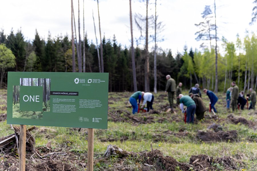 Du Lietuvos projektai pateko į „City Nation Place Awards“ finalą - Lietuva ir Baltijos šalys