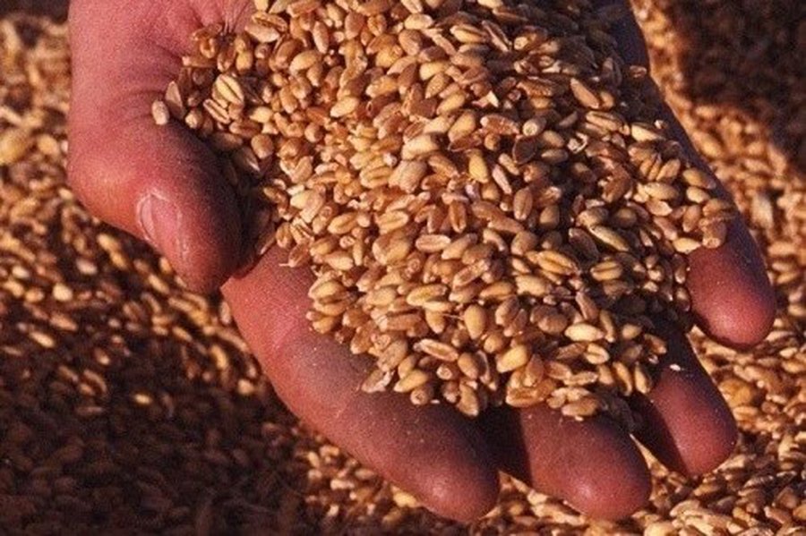 Грузия ожидает пшеницу из Литвы - В Мире