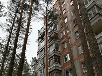 Государственный лес передается самоуправлению - В Висагинасе