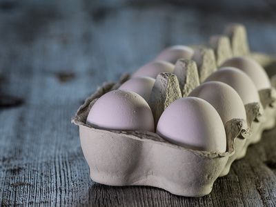 Эксперты Тайваня начали в Литве аудит предприятий по производству молочных, рыбных продуктов и яиц - В Мире