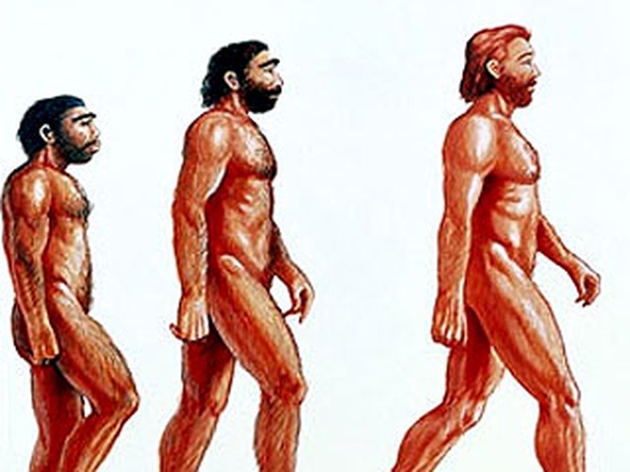Эволюция вида Homo sapiens продолжается. Люди значительно потемнеют, обзаведутся раскосыми глазами и лишатся зубов - Наука и здоровье
