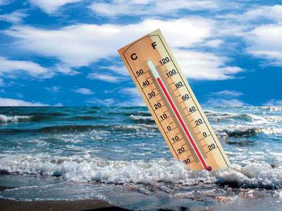 С каждым летом на планете будет всё жарче                                 - Наука и здоровье
