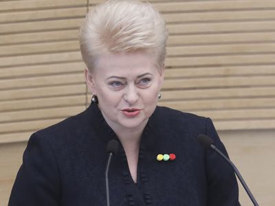 Politologai aptarė prezidentės metinio pranešimo akcentus - Lietuva ir Baltijos šalys
