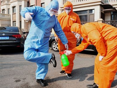 С. Малинаускас: вскоре будут решения по поводу Египта - Литва и страны Балтии