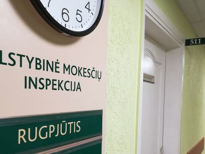 Не затягивайте подачу декларации о доходах! - Литва и страны Балтии
