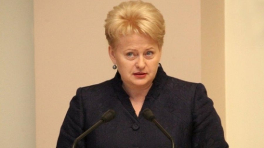 Президент Литвы: На нашу энергетику Россия всегда влияла - Энергетика
