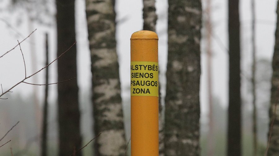 На границе с Беларусью предотвращено проникновение 16 нелегальных мигрантов - Происшествия и криминал