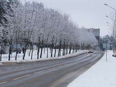 Зима из Литвы не уходит, по ночам ожидаются морозы - Литва и страны Балтии