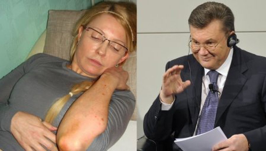 Помилование Тимошенко комиссия Януковича назвала преждевременным - В Мире